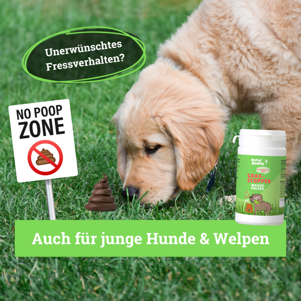 Gras Und Kotfresser Drops Für Hunde (Gebraucht) In Für CHF 18 – Mit - Foto 6